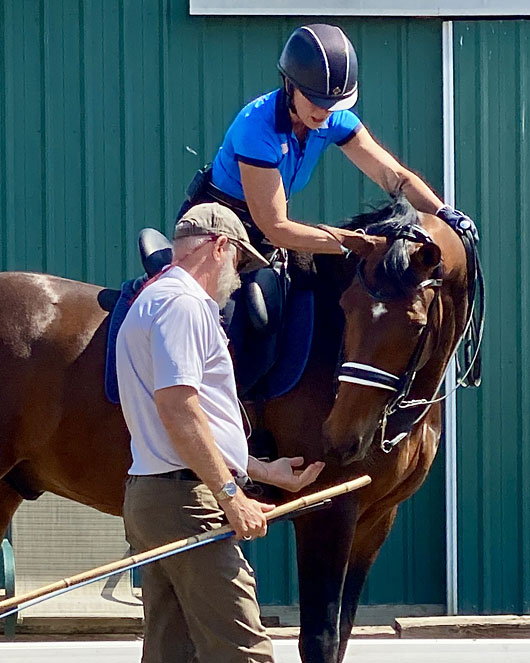 A riding instructor in a blue shirt working with a rider on a bay horse during a training session.