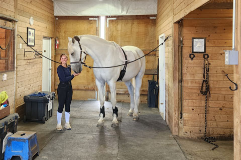 Rider and horse preparing for training in the cross-ties at an immaculate boarding facility.