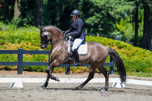 Jessica riding a brown horse in a dressage competition within an outdoor arena.