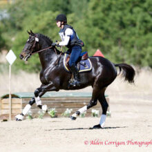 A dark bay horse named Joey clearing a large wooden table fence during a cross-country eventing competition.