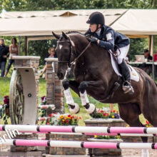 A dark brown eventing horse and rider in mid-air jumping over a violet and white striped stadium jump obstacle.