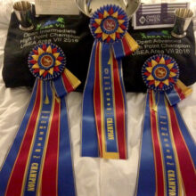 Three blue and gold USEA Area VII Champion ribbons displayed with silver trophies and a high point champion jacket.