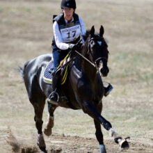 Female equestrian rider wearing bib number 17 competing in a cross country eventing phase on a dark bay horse at Woodside.