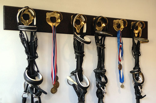 Several leather horse bridles and equestrian medals hanging on gold wall-mounted hooks.